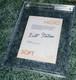 Bill Gates Signed 1976 Microsoft Letter Bgs Bas Beckett Autograph / Auto In Slab